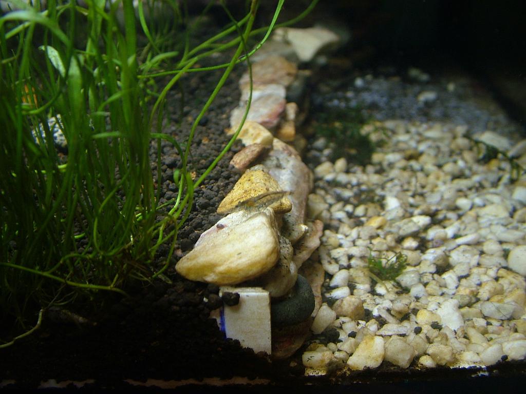 Aqua 045.JPG